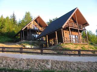 Дома для отпуска Cottages Shepit Lisu Rosokhach Дом с 2 спальнями-1